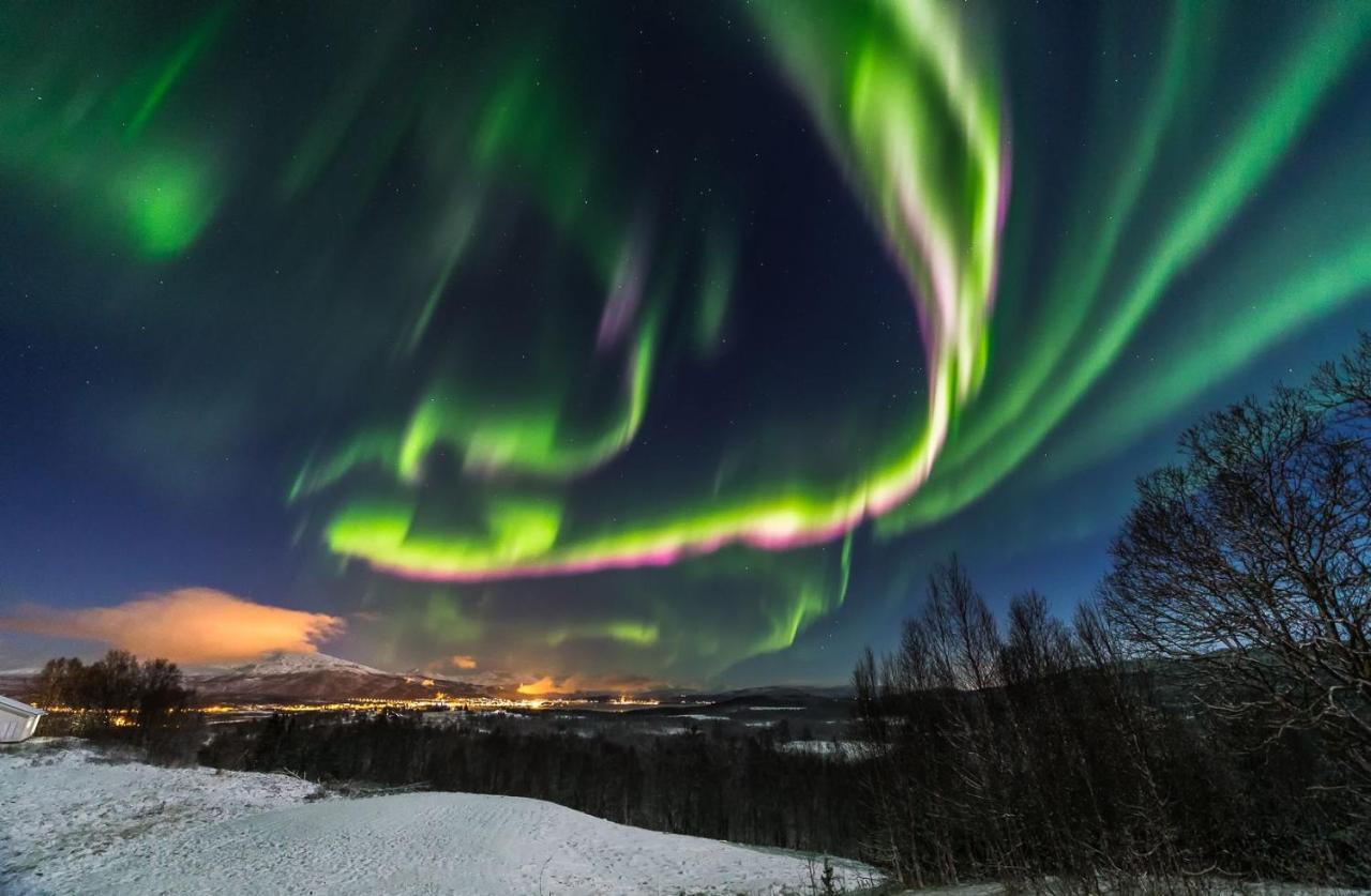 Aurora Borealis Observatory Silsand Dış mekan fotoğraf