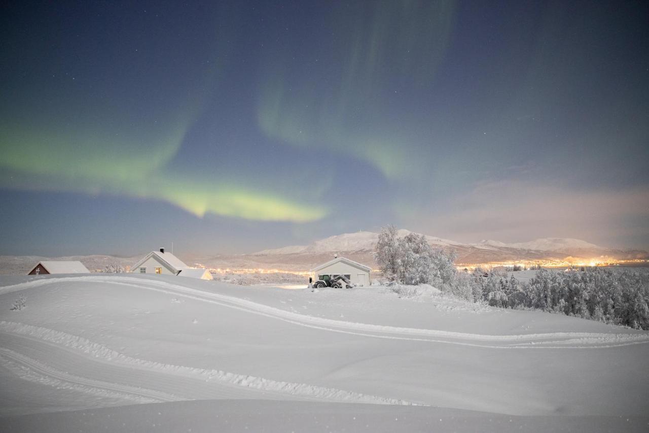 Aurora Borealis Observatory Silsand Dış mekan fotoğraf